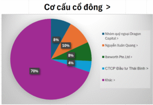 cơ cấu cổ đông NLG 