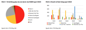 doanh số bán hàng Q1/2025 NLG 