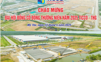 Cổ phiếu THG