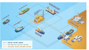  Các hoạt động kinh doanh của PVS