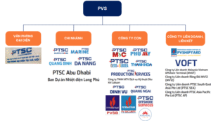 Cơ cấu sở hữu của PVS